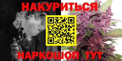 сатива Бузулук