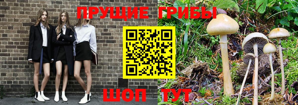 Галлюциногенные грибы MAGIC MUSHROOMS  Псилоцибиновые грибы Psilocybe  Моздок  Вход с VPN 